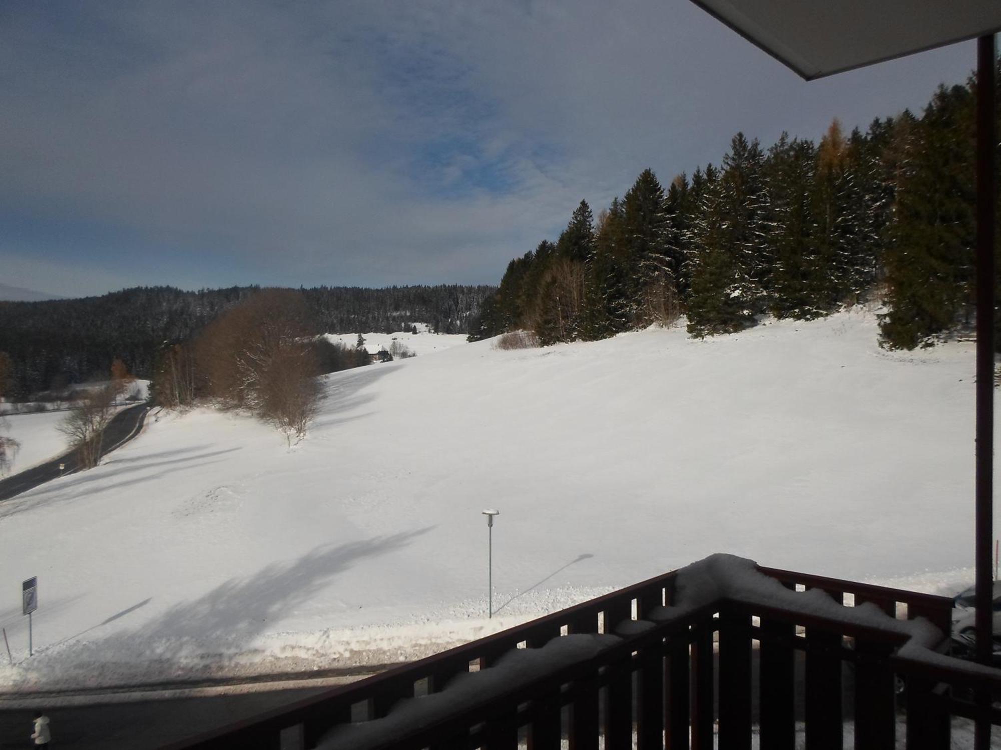 Black-Forest Holiday - Ferienresort Am Шлухзее Экстерьер фото