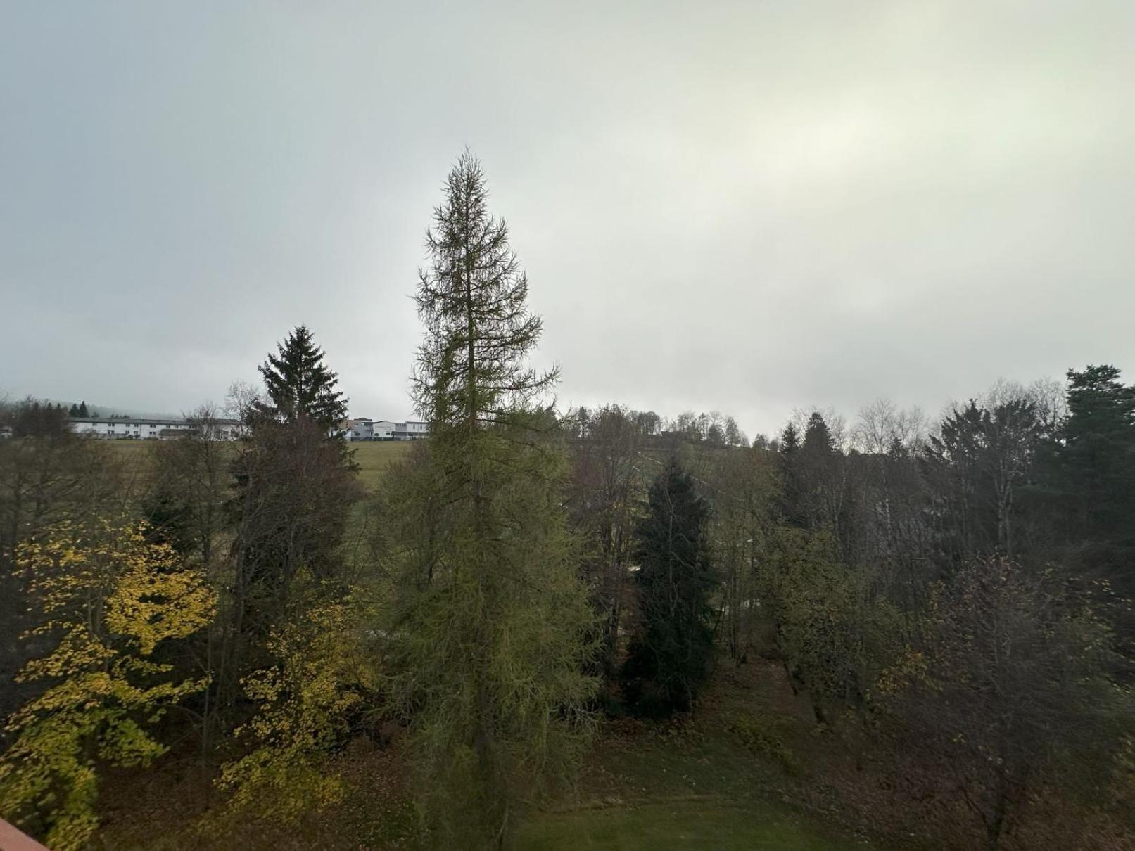 Black-Forest Holiday - Ferienresort Am Шлухзее Экстерьер фото